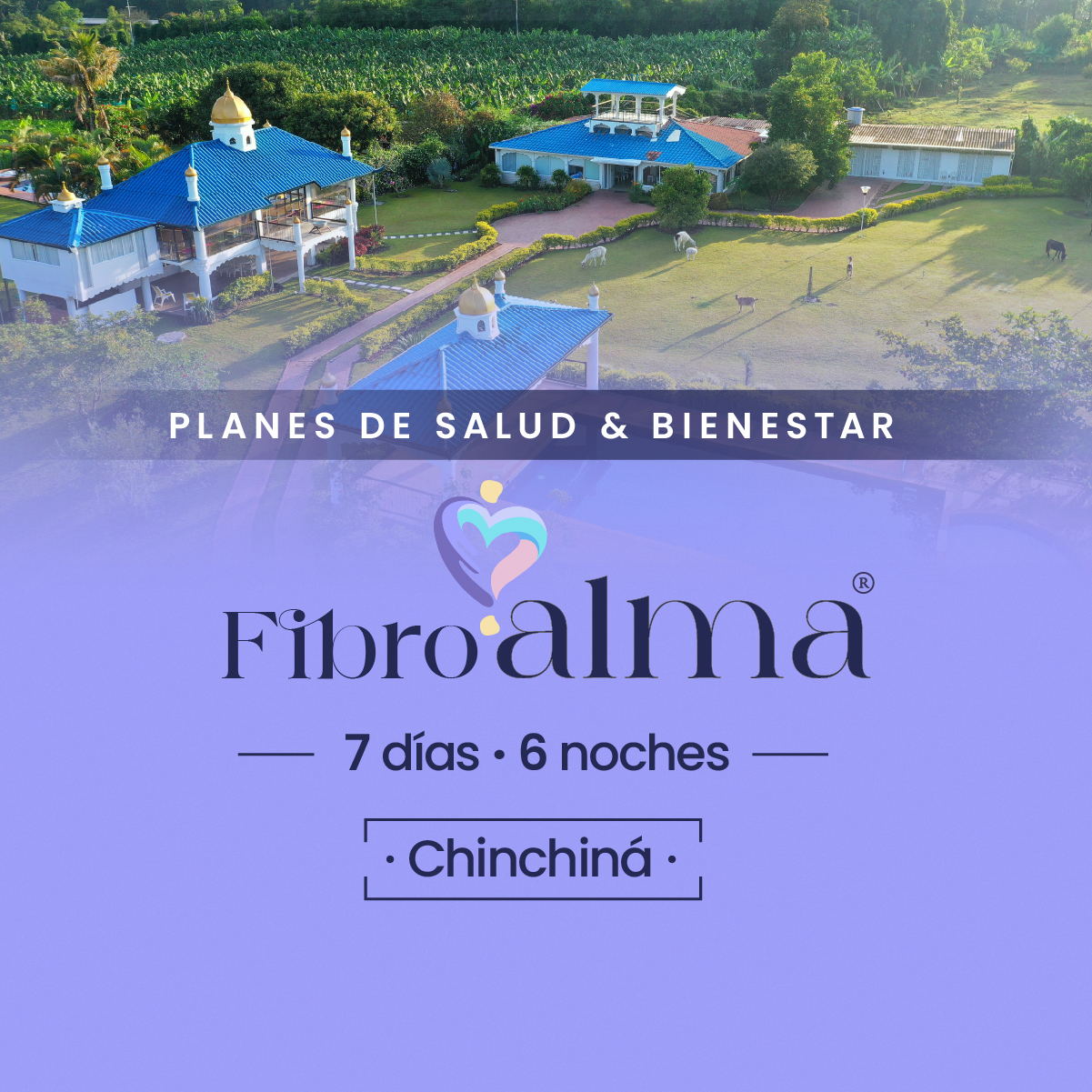 Miniaturas-Landing-Planes3